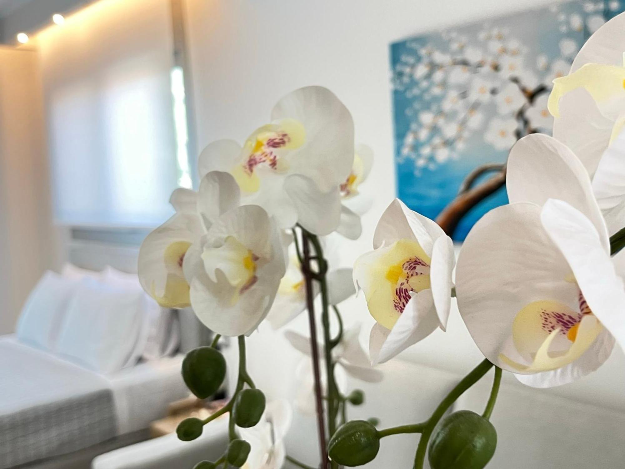 بارغا Maison Deluxe Studios And Apartment المظهر الخارجي الصورة