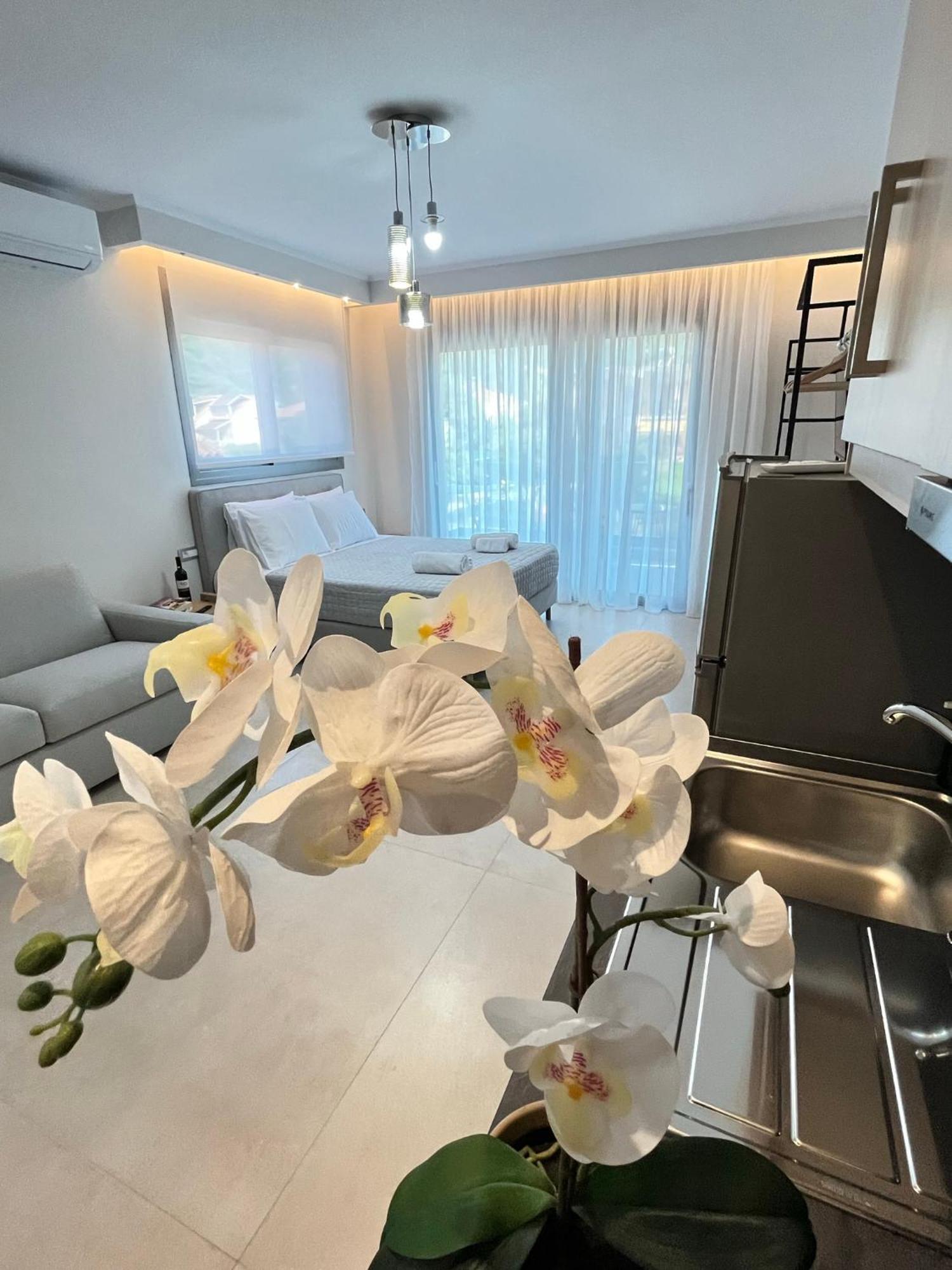 بارغا Maison Deluxe Studios And Apartment المظهر الخارجي الصورة